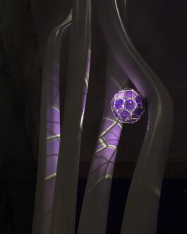 JULIANE EIRICH   PHOTOGRAPHY