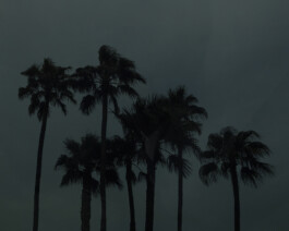 JULIANE EIRICH   PHOTOGRAPHY