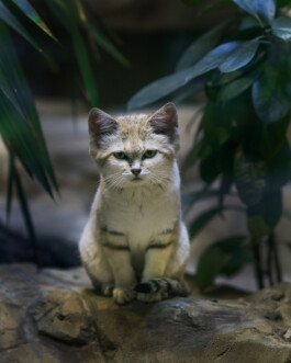 JULIANE EIRICH   PHOTOGRAPHY