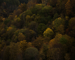 JULIANE EIRICH   PHOTOGRAPHY