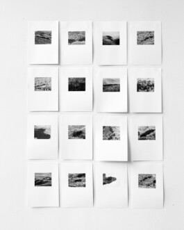 JULIANE EIRICH PHOTOGRAPHY