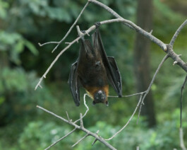 JULIANE EIRICH PHOTOGRAPHY