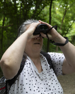 JULIANE EIRICH   PHOTOGRAPHY