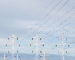 JULIANE EIRICH PHOTOGRAPHY