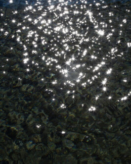 JULIANE EIRICH   PHOTOGRAPHY