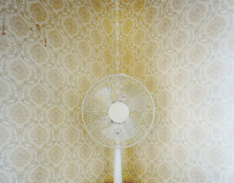 JULIANE EIRICH   PHOTOGRAPHY