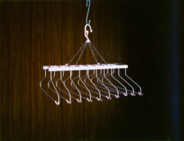 JULIANE EIRICH   PHOTOGRAPHY