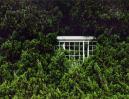 JULIANE EIRICH   PHOTOGRAPHY