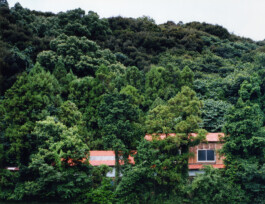 JULIANE EIRICH   PHOTOGRAPHY