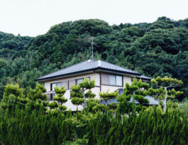 JULIANE EIRICH   PHOTOGRAPHY