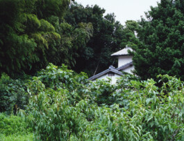 JULIANE EIRICH   PHOTOGRAPHY