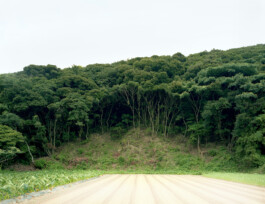 JULIANE EIRICH   PHOTOGRAPHY