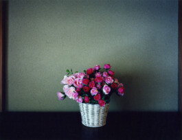 JULIANE EIRICH   PHOTOGRAPHY