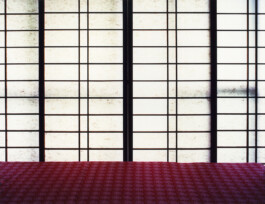 JULIANE EIRICH   PHOTOGRAPHY