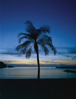 JULIANE EIRICH   PHOTOGRAPHY