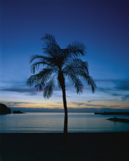 JULIANE EIRICH PHOTOGRAPHY