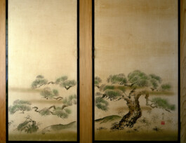 JULIANE EIRICH   PHOTOGRAPHY