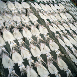 JULIANE EIRICH PHOTOGRAPHY