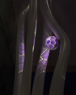 JULIANE EIRICH   PHOTOGRAPHY