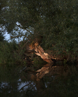 JULIANE EIRICH PHOTOGRAPHY